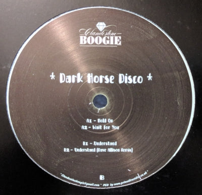 DARK HORSE DISCO - Hold On