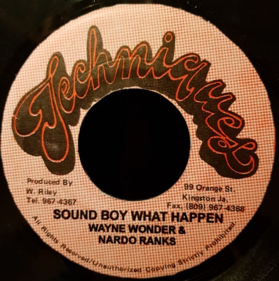 WAYNE WONDER & NARDO RANKS - Sound Boy What Happen