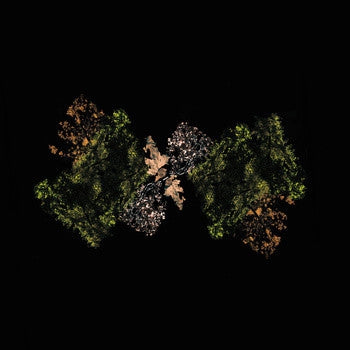 WOODSMAN - Woodsman