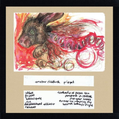 AMATEUR CHILDBIRTH - Pripyat