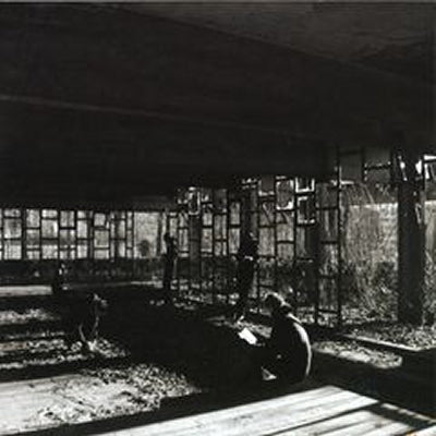 VARIOUS - We01us
