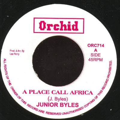 JUNIOR BYLES - A Place Call Africa