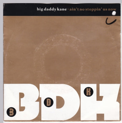 BIG DADDY KANE - Ain't No Stoppin' Us Now