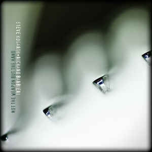 STEVE HOGARTH & RICHARD BARBIERI - Not The Weapon But
