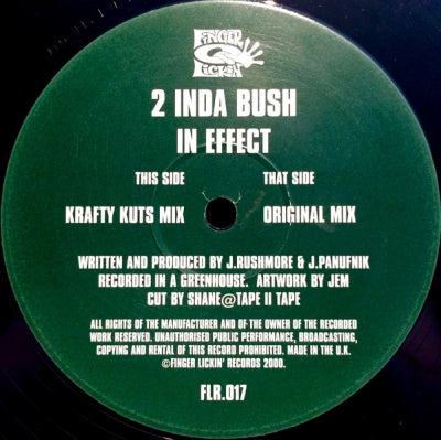 2 INDA BUSH - In Effect