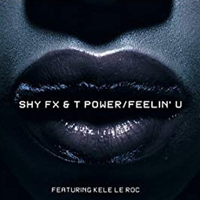 SHY FX & T POWER - Feelin' U