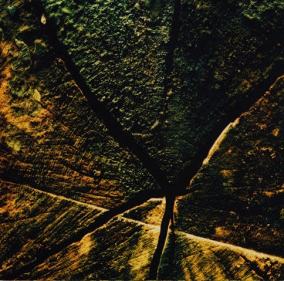 RICHARD YOUNGS & TIRATH SINGH NIRMALA - Richard Youngs & Tirath Singh Nirmala
