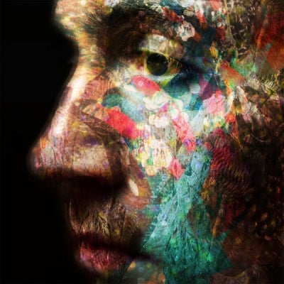 DANIEL O'SULLIVAN - VELD
