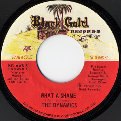 THE DYNAMICS - What A shame