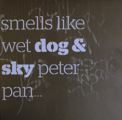 DOG & SKY / YOUR HEADLIGHTS ARE ON - Smells Like Wet Dog / The Dream
