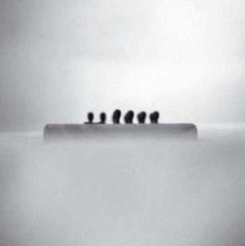 ANDY STOTT - Replace