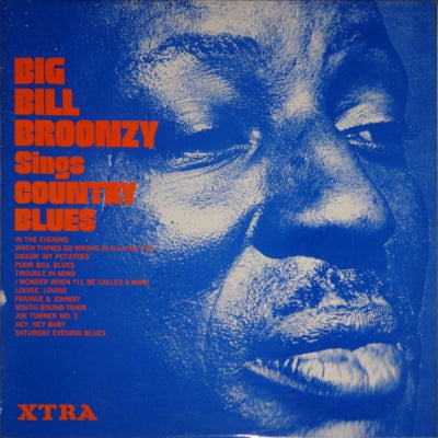 BIG BILL BROONZY - Sings Country Blues