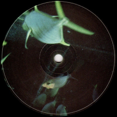 UDMO - Open Water