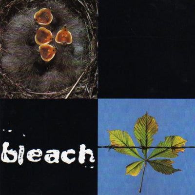 BLEACH - Bleach