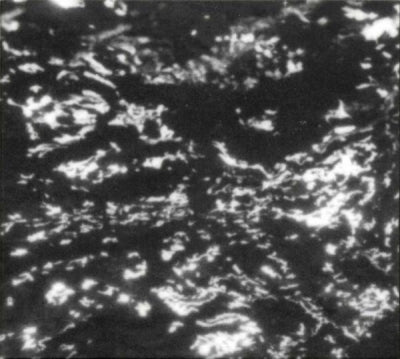 GROUPER - A I A : Alien Observer