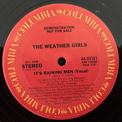 WEATHER GIRLS - Raining Men