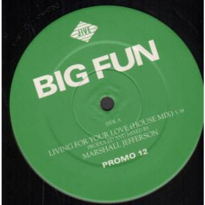 BIG FUN - Living For Your Love