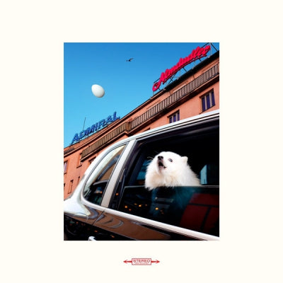 FLYTE - White Roses