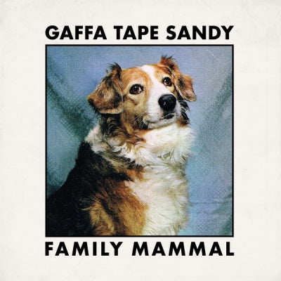 GAFFA TAPE SANDY - Family Mammal