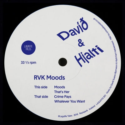 DAVID & HJALTI - RVK Moods