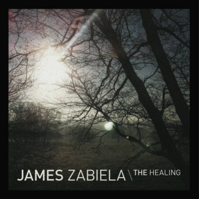 JAMES ZABIELA - The Healing