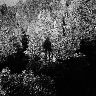PANORAM - Background Story