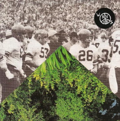 WAVVES - California Goths