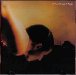 PORCUPINE TREE - On The Sunday Of Life
