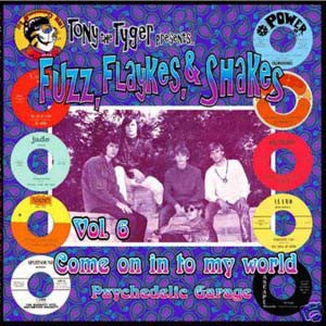 VARIOUS - Fuzz, Flaykes, & Shakes Vol. 6: Come On In To My World