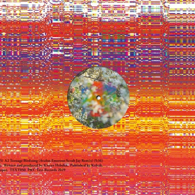 FOUR TET - Teenage Birdsong