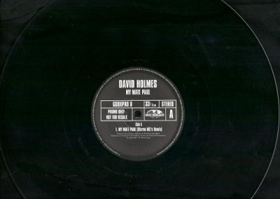 DAVID HOLMES - My Mate Paul