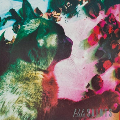 PALE SAINTS - The Comforts Of Madness 30th Anniversary Re:Masters