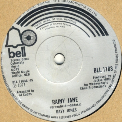 DAVY JONES - Rainy Jane / Welcome To My Love