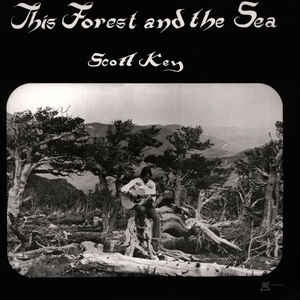 SCOTT KEY - This Forest And The Sea