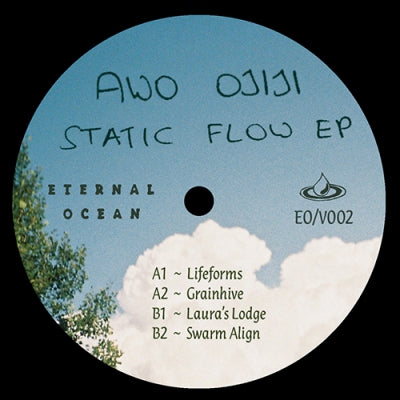 AWO OJIJI - Static Flow