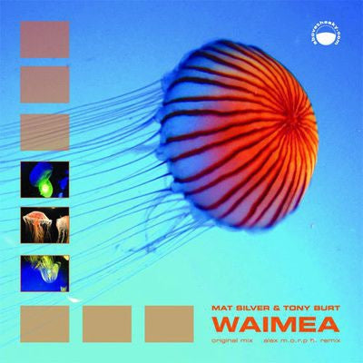 MAT SILVER & TONY BURT - Waimea