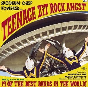 VARIOUS - Nardwuar The Human Serviette Presents: Skookum Chief Powered Teenage Zit Rock Angst