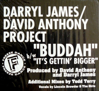 DARRYL JAMES / DAVID ANTHONY PROJECT - Buddah / It's Gettin' Bigger