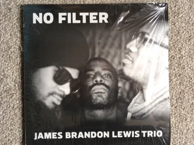 JAMES BRANDON LEWIS TRIO - No Filter
