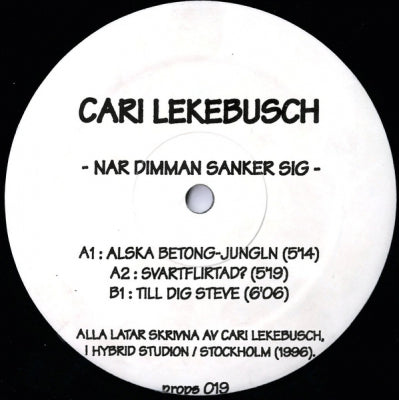 CARI LEKEBUSCH - Nar Dimman Sanker Sig