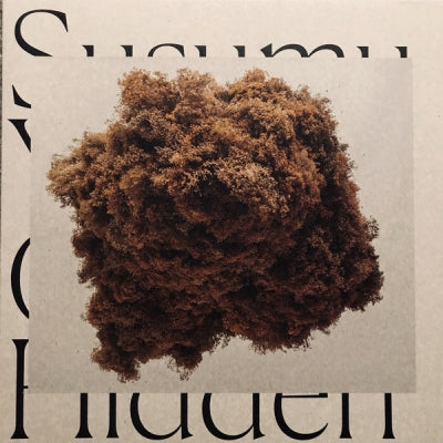 SUSUMU YOKOTA - Cloud Hidden