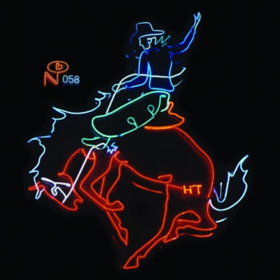 VARIOUS - Wayfaring Strangers: Cosmic American Music