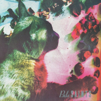 PALE SAINTS - The Comforts Of Madness 30th Anniversary Re:Masters
