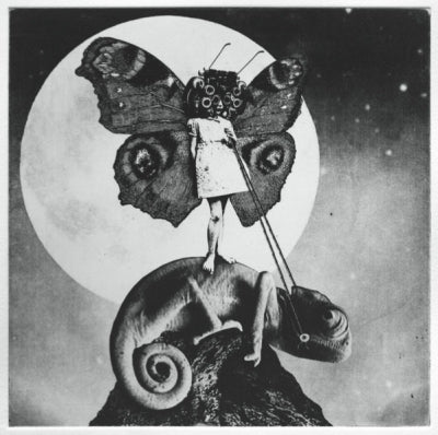 THE EXALTICS - The Girl And The Chameleon