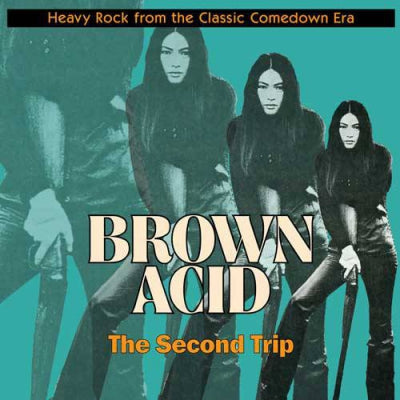 VARIOUS - Brown Acid: The Second Trip (Heavy Rock From The Classic Comedown Era)