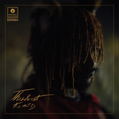 THUNDERCAT - It Is What It Is