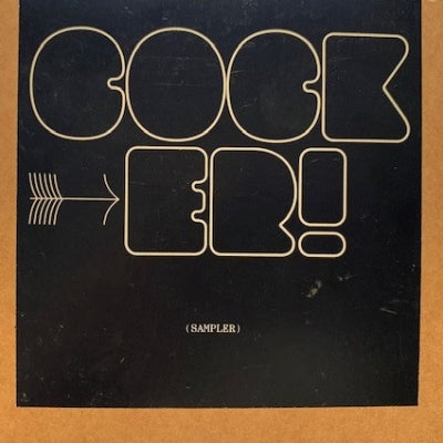 JARVIS COCKER - Sampler - Selections From The Second Jarvis Cocker Record Further Complications