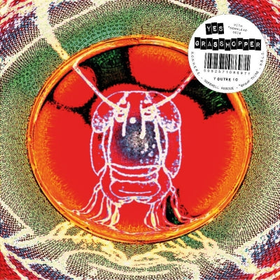YES GRASSHOPPER - N.O.W.H.E.R.E.