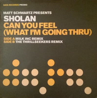 MATT SCHWARTZ PRESENTS SHOLAN - Can You Feel (What I'm Going Thru)