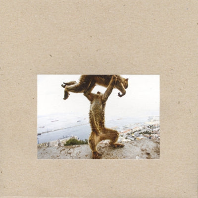 SHELLAC - Dude Incredible